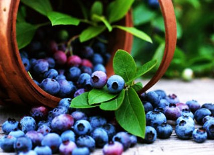 Какие ягоды защитят от диабета?