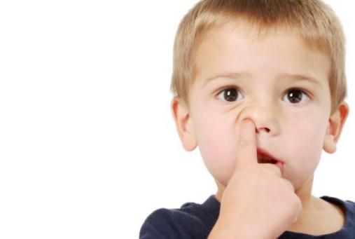 Зачем мужчинам нужны большие носы?