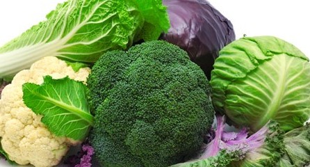 Капуста поможет в лечении рака