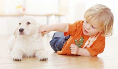 Собака помогла мальчику выздороветь после операции