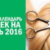 Лунный календарь стрижек волос на ноябрь 2016 года